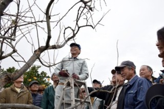 果樹の剪定教室