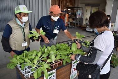 支店で苗即売会開催　営農指導員が質問に答える