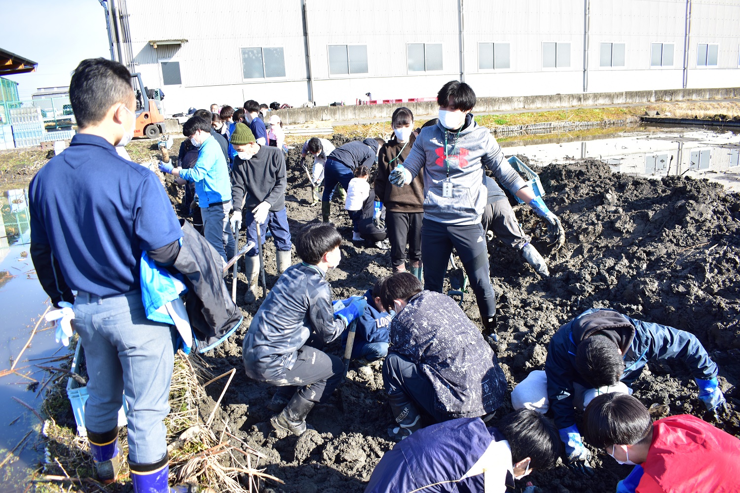 レンコンセンターで大学生学ぶ