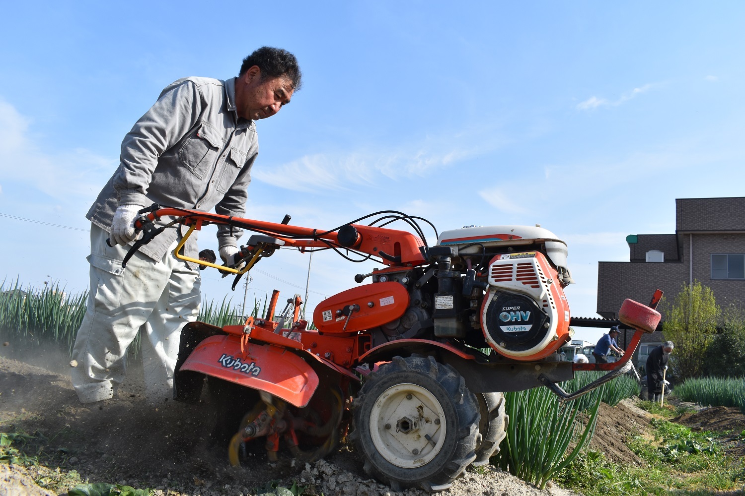 産地の魅力向上をめざして　飛島ねぎ・ほうれんそう専門栽培研修会開催