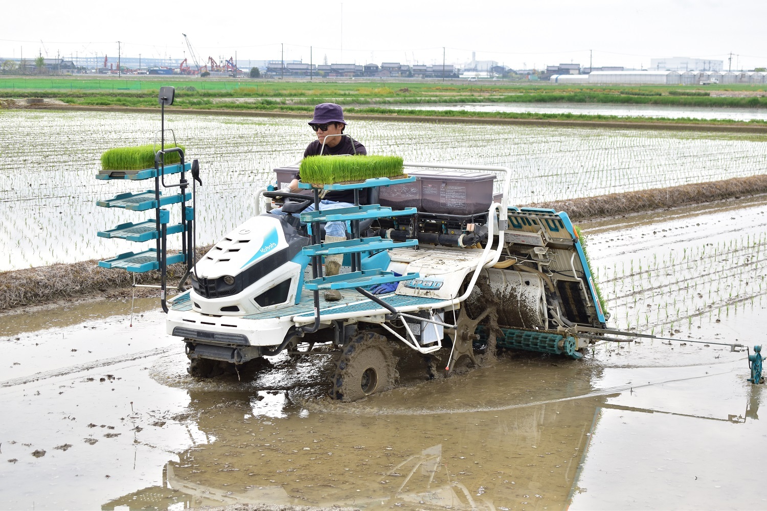 愛知県下で一番　田植えはじまる