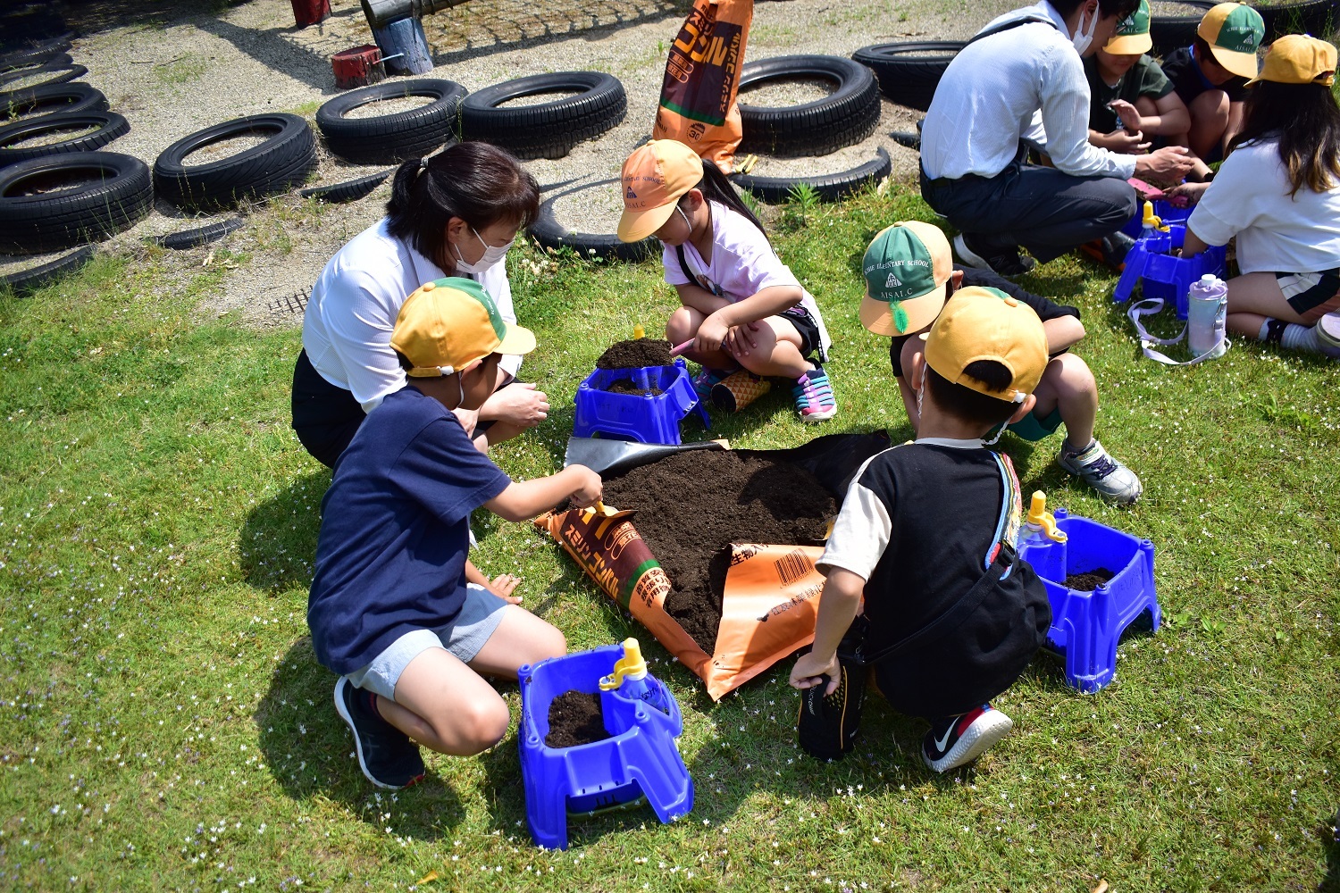 小学校出前授業　ミニトマトの定植について紹介