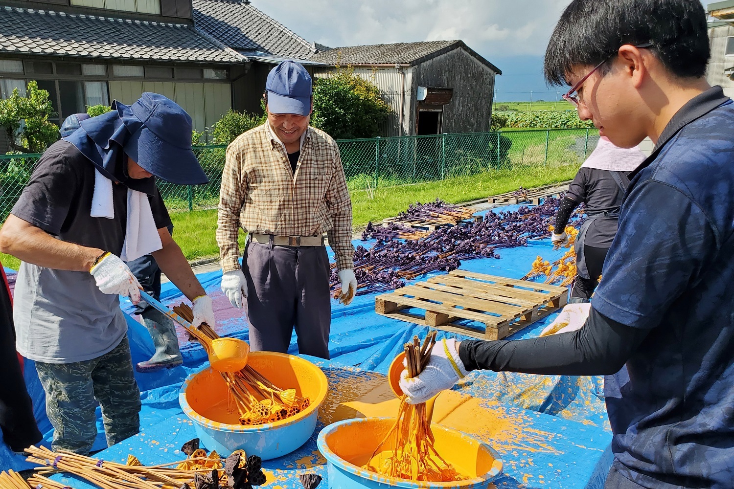 蓮台色付け出荷　新規需要獲得めざして