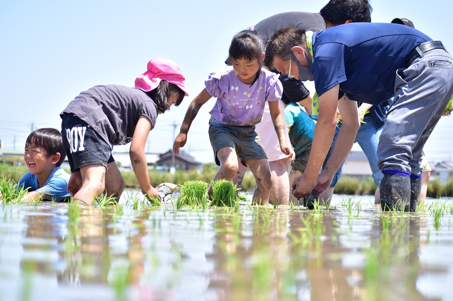 田植え体験開催　子どもたちにお米の魅力伝える