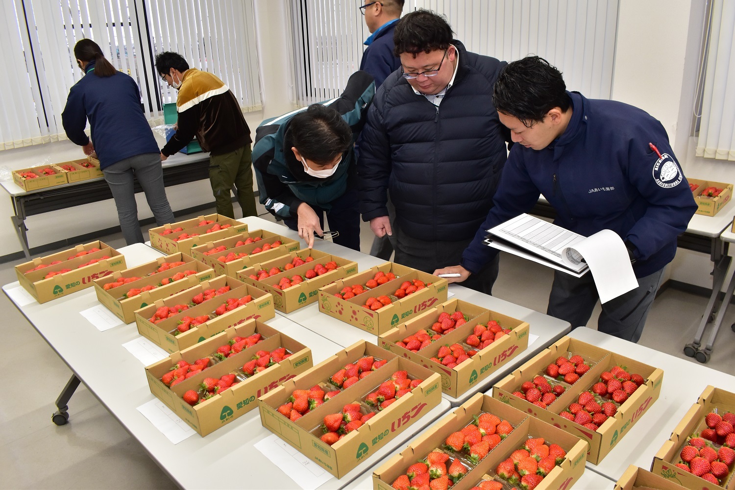 ＪＡあいち海部いちご品評会 産地の活性化を目指す