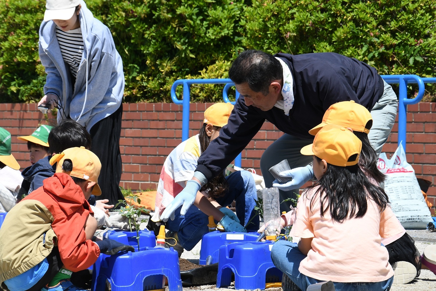 食農教育活動　ＪＡと市が協力し取組み拡大