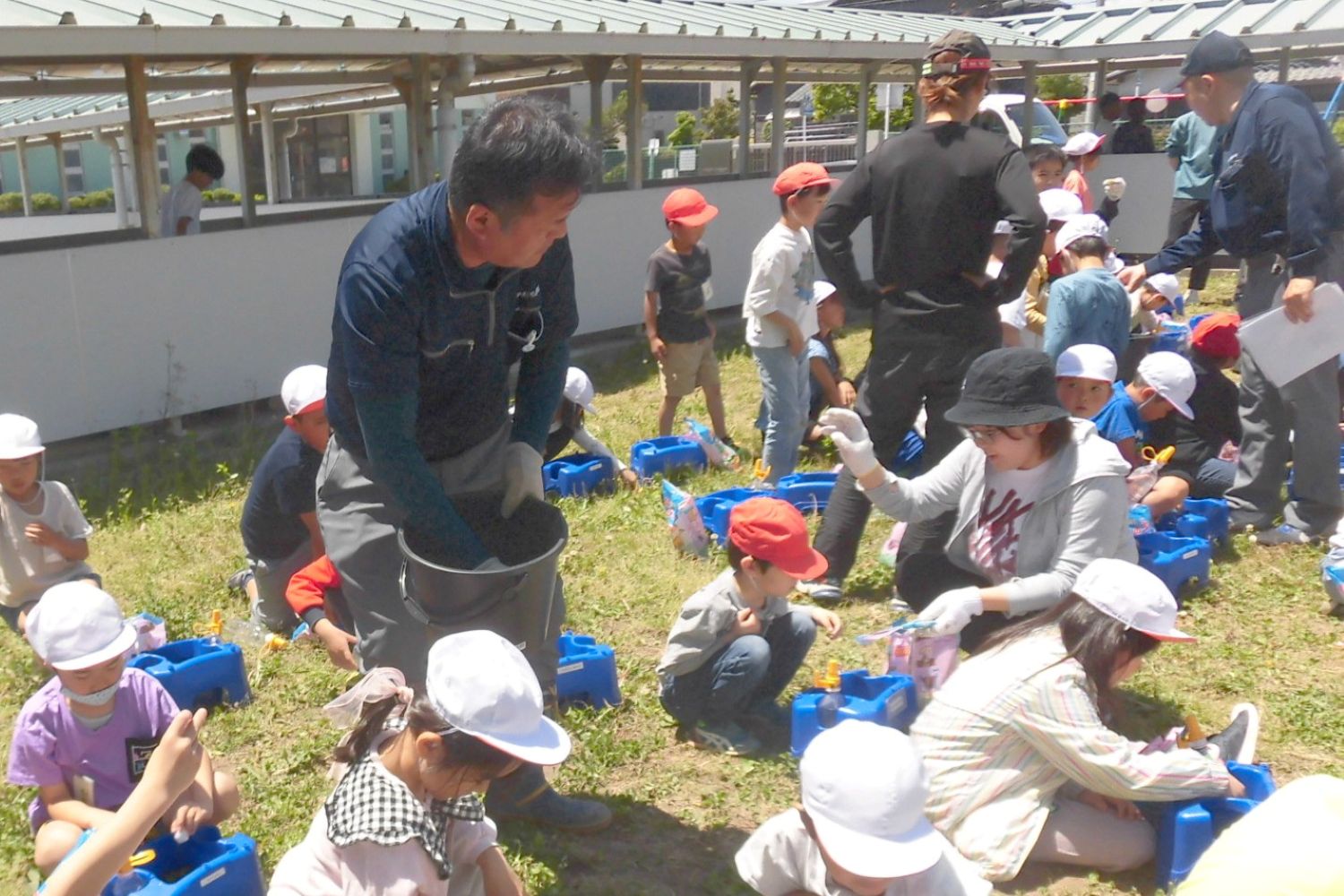 夏野菜の定植を指導 甚目寺小学校で定植体験を開催
