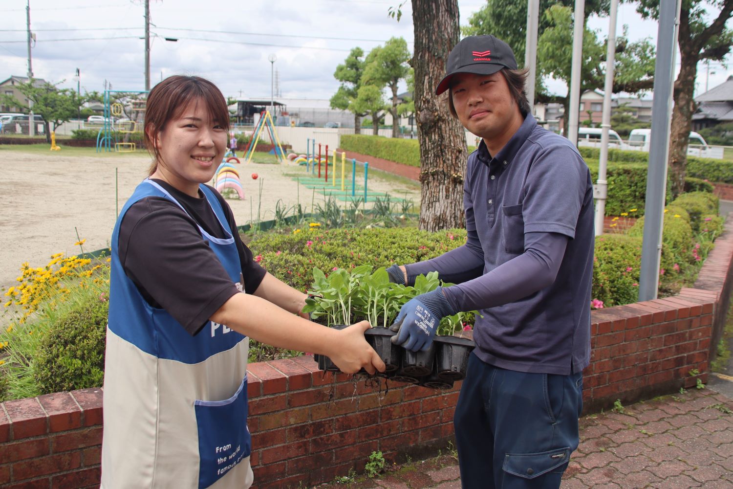 青年部による花育活動　保育園へヒマワリの苗を届ける