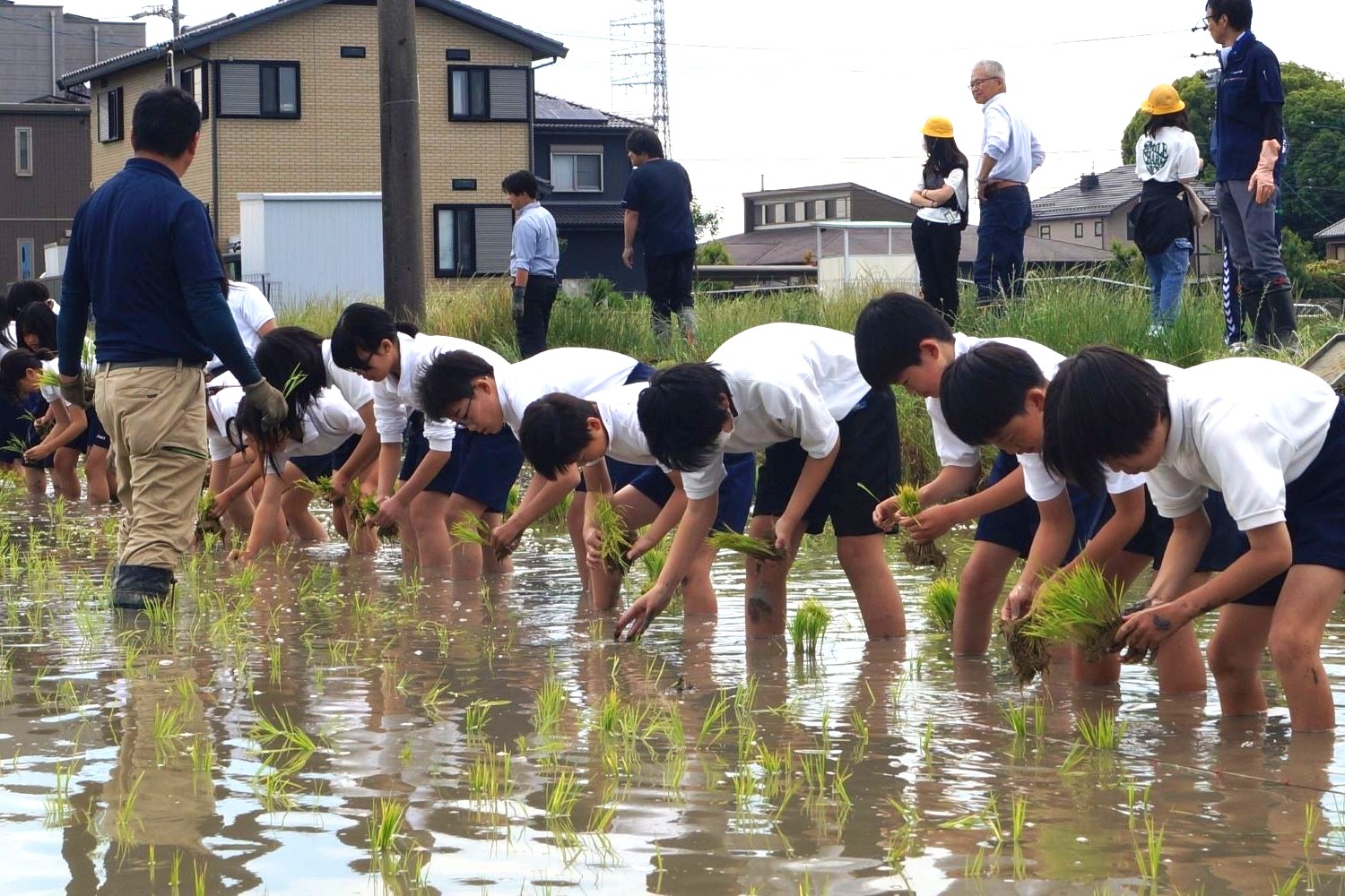 秋竹小学校で出前授業を開催 田植え体験から学ぶ米づくり - JAあいち海部