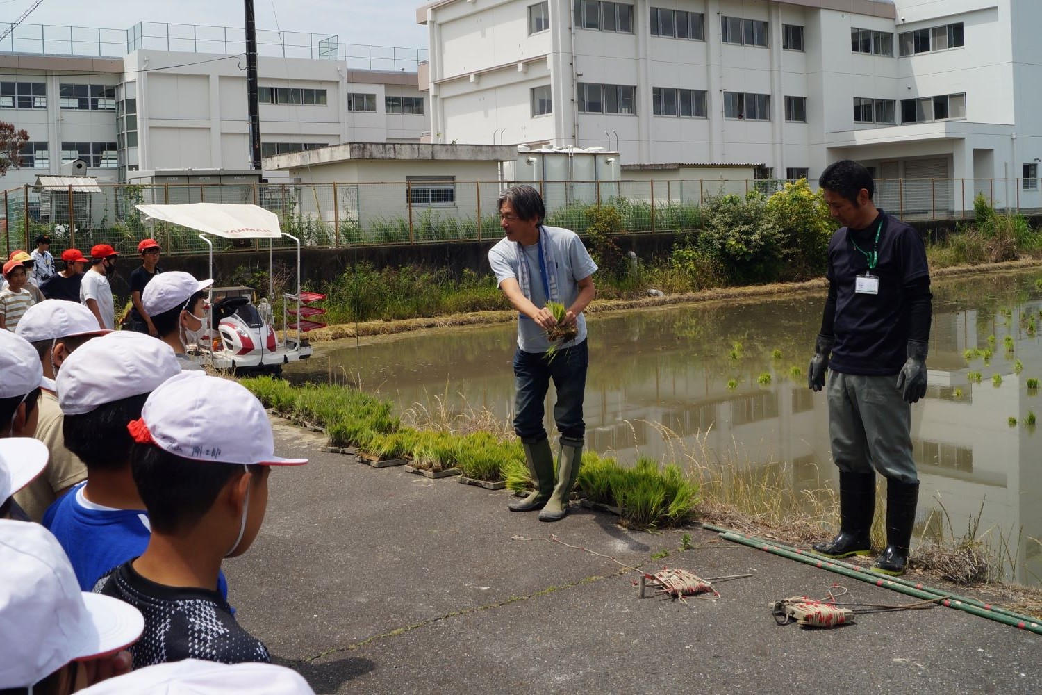 出前授業で農業を身近に　美和東小学校で田植え体験を開催