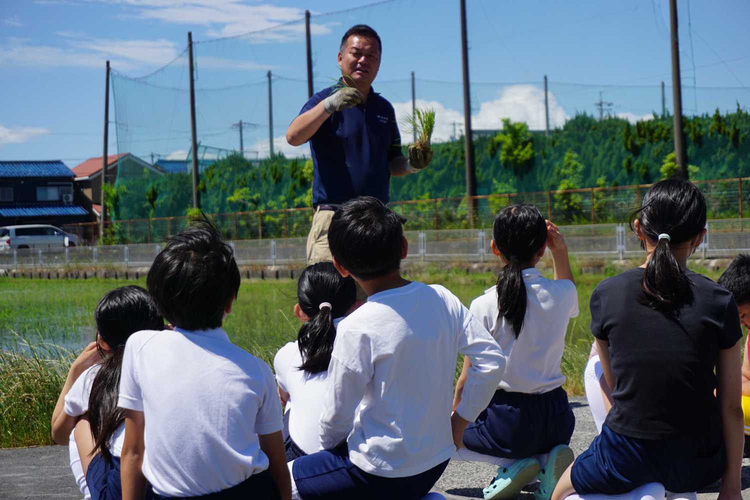 秋竹小学校で田植え体験　稲作を通じて米作りの大切さを学ぶ