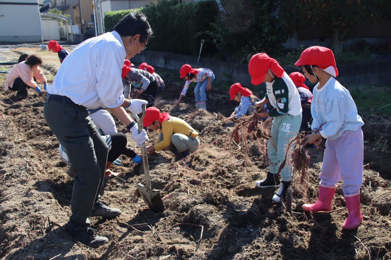 食と農を大切にする心を育む　篠田小学校でサツマイモ収穫体験を開催