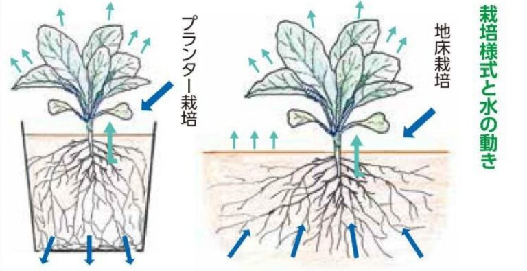 2023年5月号「かん水について」 JAあいち海部